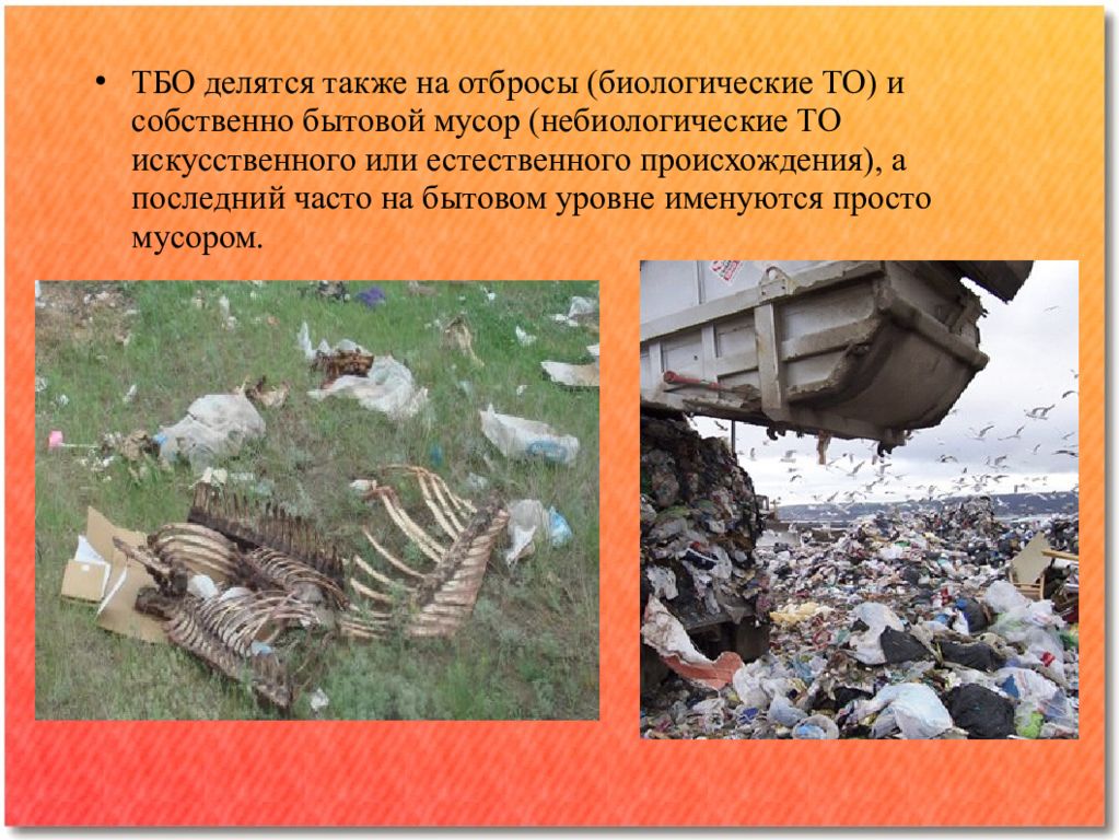 Свалка биологических отходов. Органические отходы. Отброс растительного происхождения. Отходы биологические происхождения. Биологические отходы животных.
