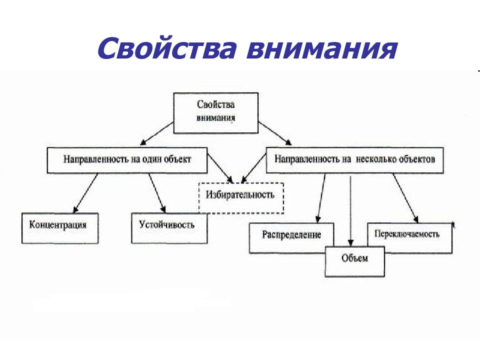 Свойства внимания схема