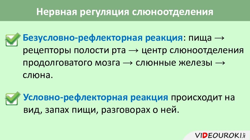 Регуляция пищеварения гигиена питания презентация 8 класс