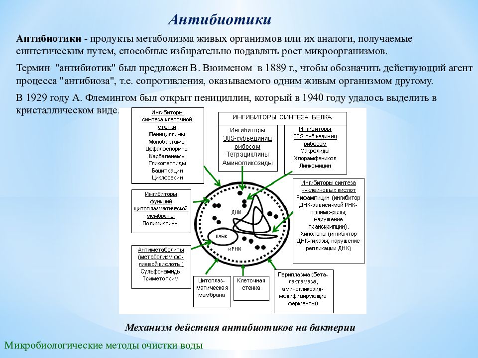 Продукты обмена клетки. Методы очистки антибиотиков. Подавление размножения микробов в очаге – это. Факторы антибиоза микроорганизмов. Под метаболизмом живых организмов понимают.