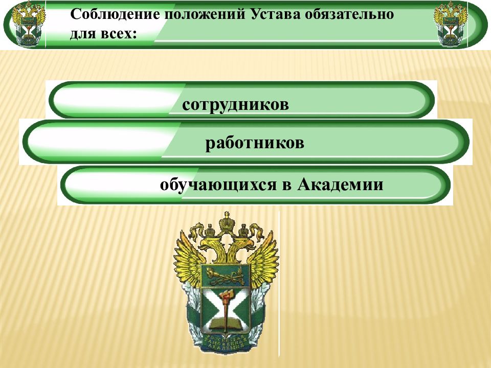 Таможня образование. Российская таможенная Академия фон. Российская таможенная Академия фон для презентации. Фон для презентации таможенная Академия. Тема для презентации Российская таможенная Академия.