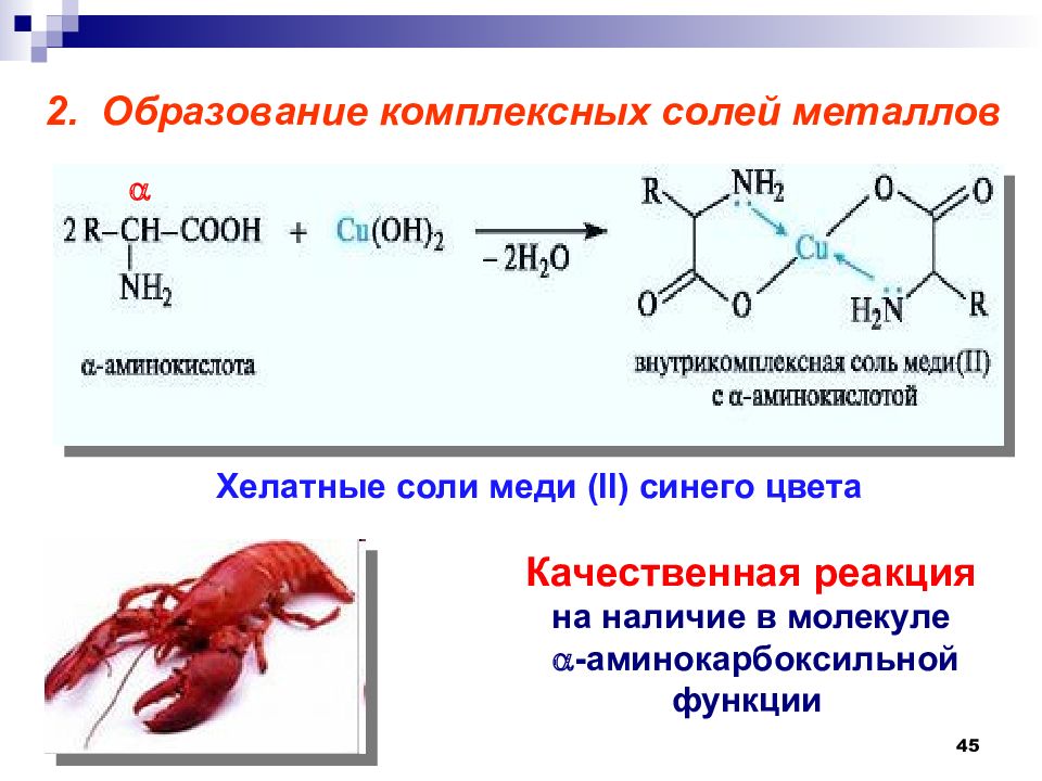 Презентация по теме аминокислоты