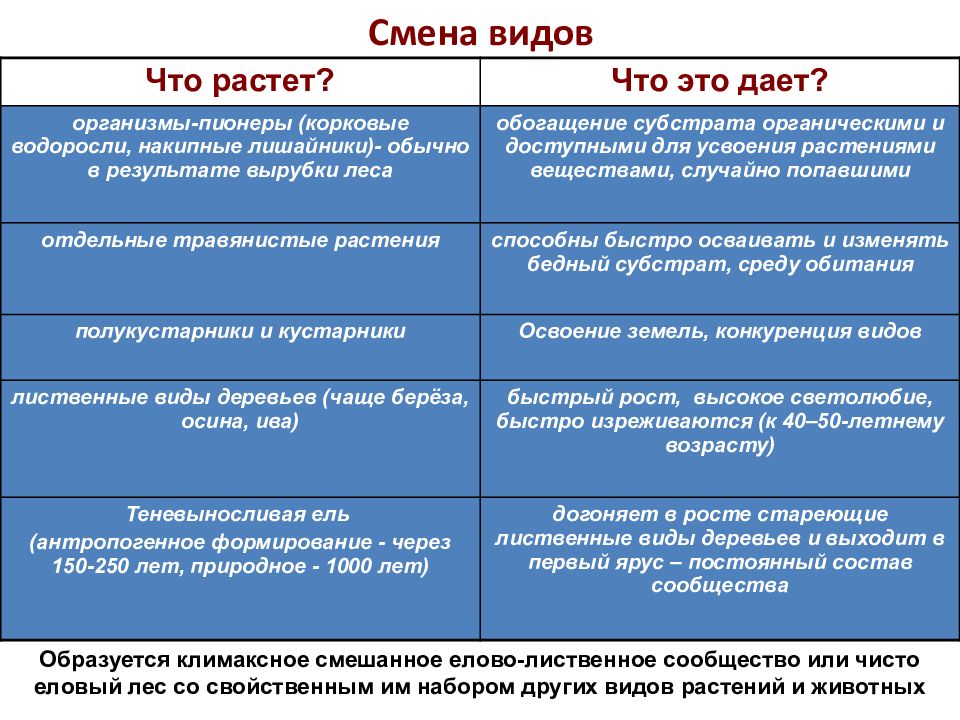 Саморазвитие экосистем сукцессии презентация