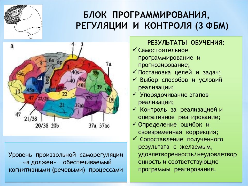 Функциональное взаимодействие основных блоков мозга презентация