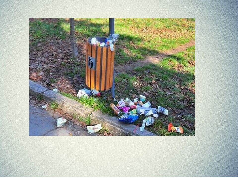 ИНДИВИДУАЛЬНЫЙ ИТОГОВЫЙ ПРОЕКТ НА ТЕМУ: «Экологические проблемы Тимашевского