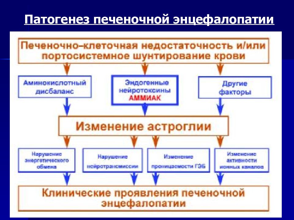 Печеночная энцефалопатия при циррозе. Схема патогенеза печеночной энцефалопатии. Механизм развития печеночной энцефалопатии. Патогенез энцефалопатии при циррозе. Печеночно-клеточная недостаточность этиология.