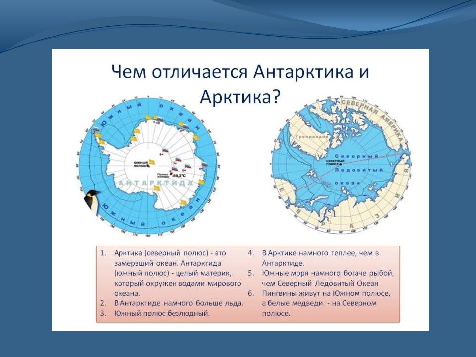 Арктика антарктика антарктида. Где Арктика и где Антарктида на карте. Антарктида Арктика Антарктика разница. Отличие Арктики от Антарктики и Антарктиды. Арктика и Антарктика на карте.