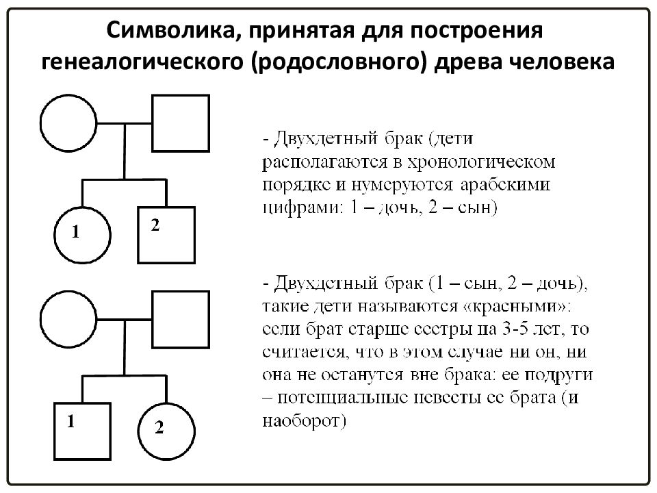 Генеалогический метод схема