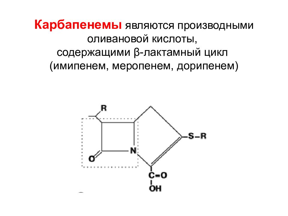 Циклические пептиды