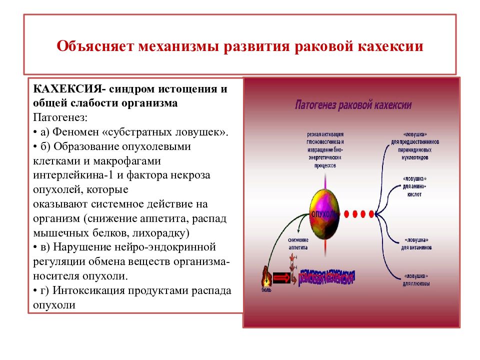 Объясните механизм. Механизмы развития раковой кахексии. Объясните механизм развития раковой кахексии.. Субстратные ловушки опухоли. Механизмы опухолевой кахексии.