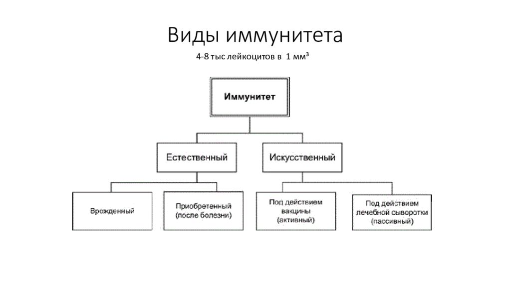 Виды иммунитета вакцины. Типы иммунной системы. Виды искусственного иммунитета. Виды правового иммунитета. Составить схему виды иммунитета.