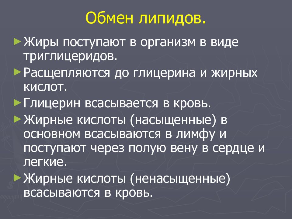 Презентация липидный обмен