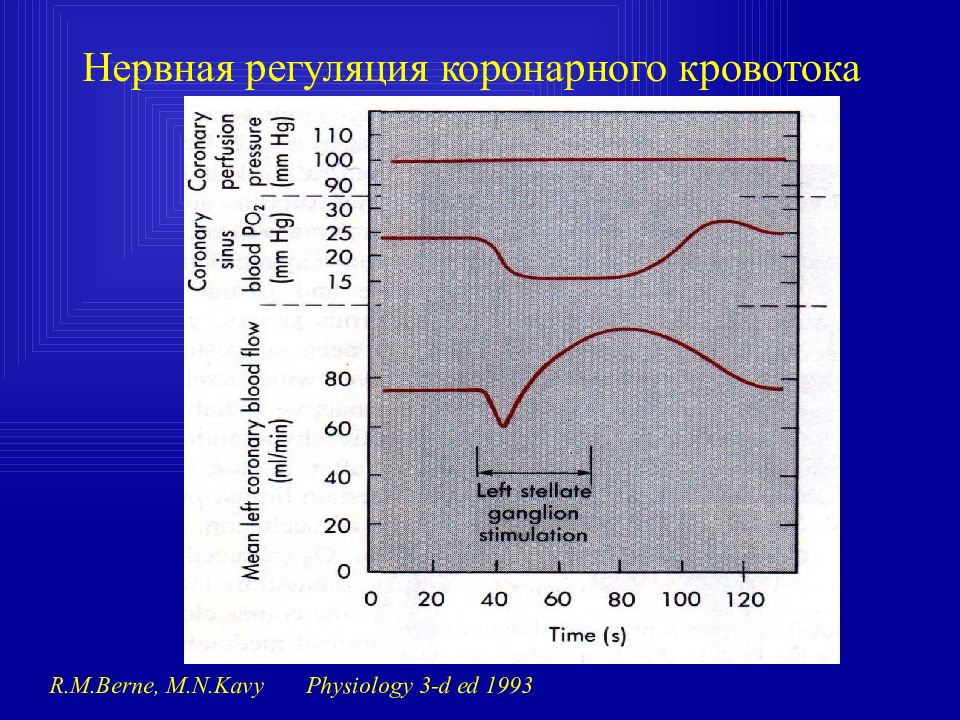 Особенности коронарного и мозгового кровообращения. Характеристика кровотока по артериям