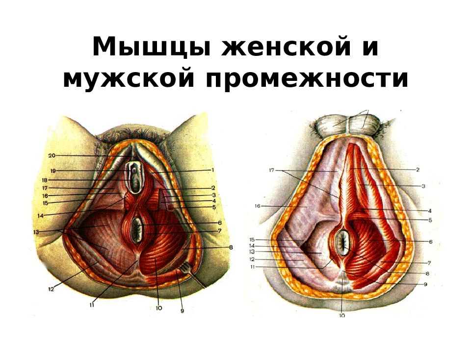 Баба с крашеными волосами кончает от дрочки мохнатой промежности