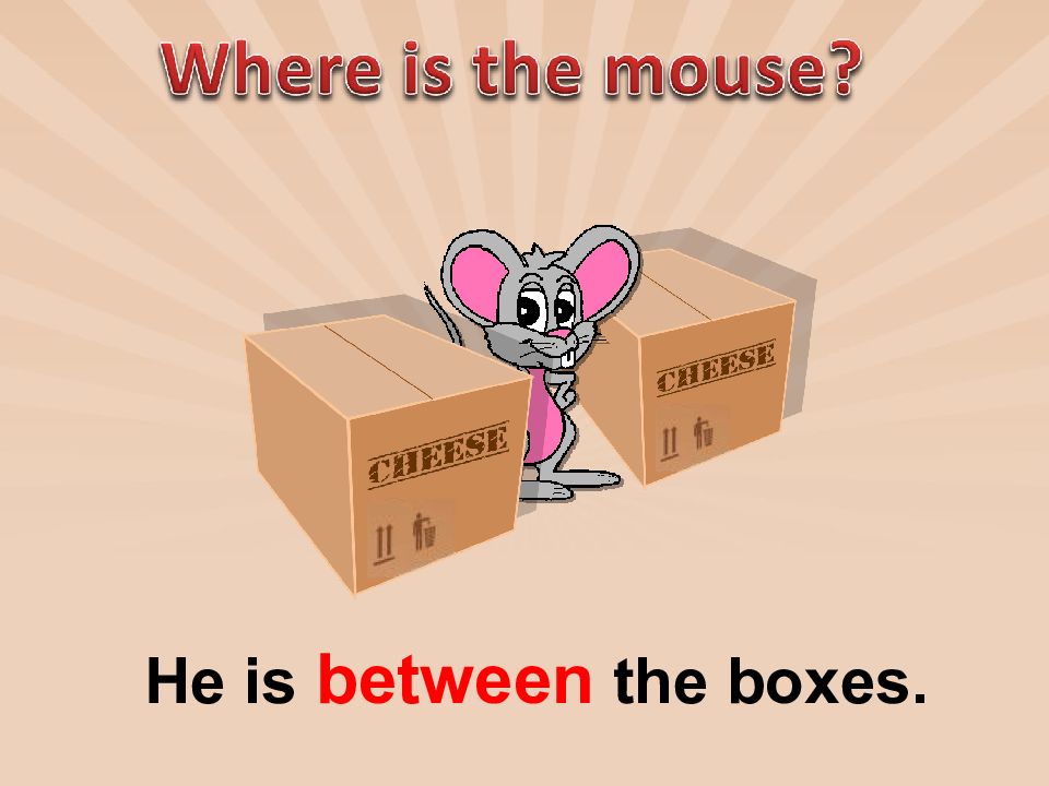 Where is the Mouse. The Mouse is in the Box. Between the Boxes. Where is.