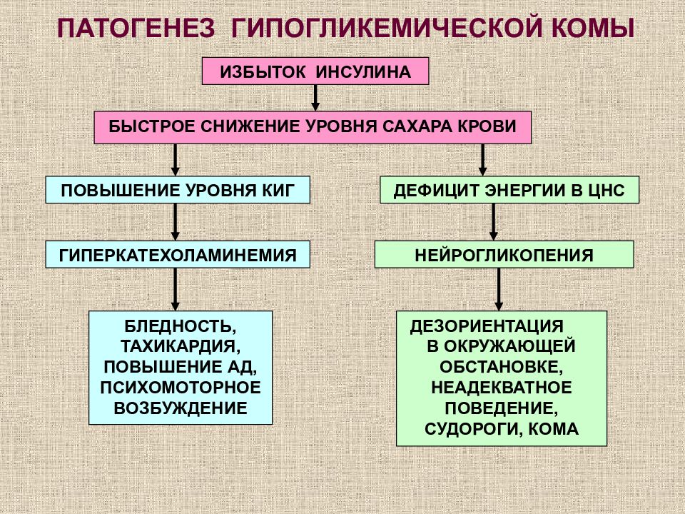 Механизм развития. Механизм развития гипогликемической комы. Патогенез гипогликемической комы. Гипогликемическая кома патофизиология. Патогенез гипогликемии при сахарном диабете.