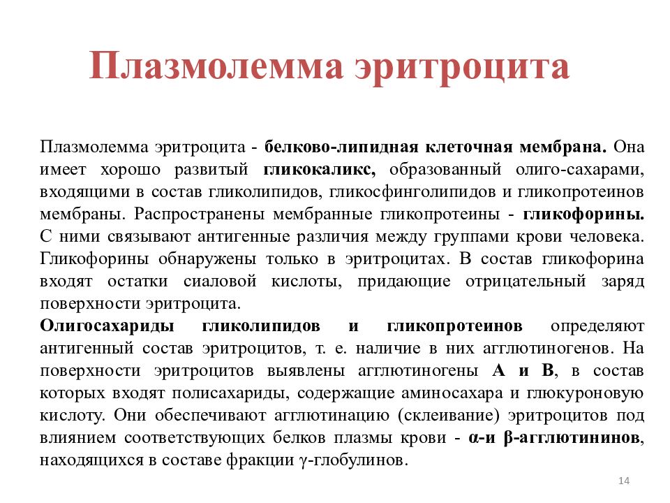 Плазмолемма. Плазмолемма эритроцита. Особенности строение плазмолеммы эритроцита. Цитолемма эритроцита. Строение цитоскелета эритроцитов.