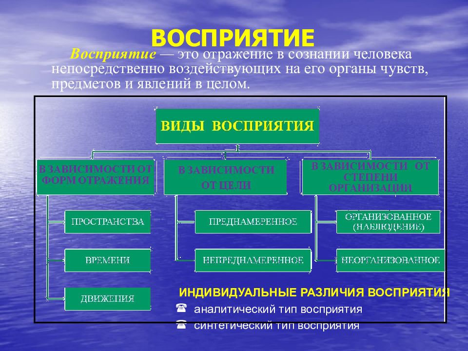 Познавательные процессы восприятие презентация