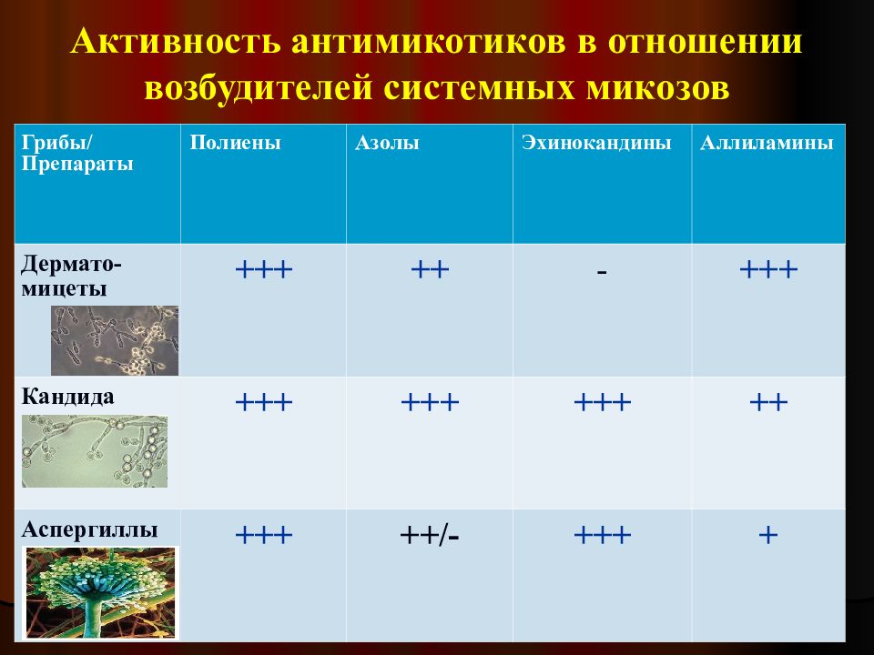 Антимикотики. Системные микозы препараты. Системные микозы возбудители. Системный микоз лечение. Системная терапия микозов.