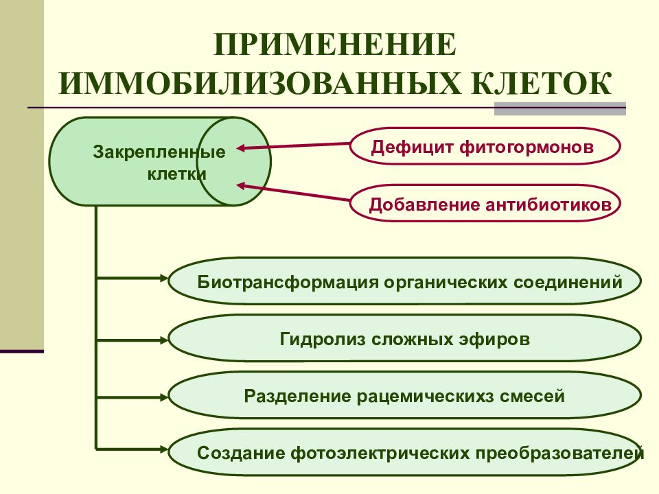 Обладать использование. Применение иммобилизованных клеток. Недостатки иммобилизованных клеток. Биотрансформация органических соединений. Промышленное использование иммобилизованных.