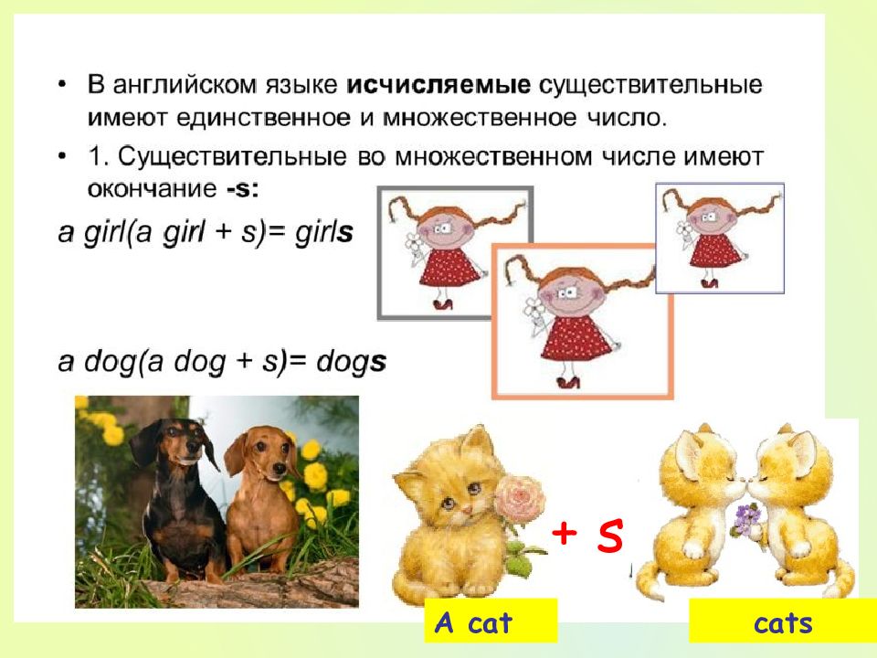 Образование множественного числа. Множественное число животных в английском языке. Животные во множественном числе.