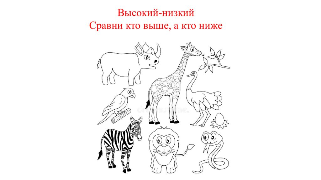 Тема выше ниже. Кто выше кто ниже для дошкольников. Выше ниже животные. Высокий низкий выше ниже презентация математика дошкольники. Задание кто выше кто ниже.