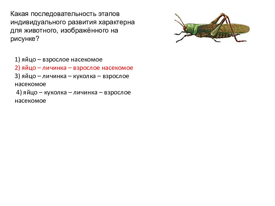 Вставьте в текст характерные признаки насекомых пропущенные. Фаза индивидуального развития характерно для насекомых. Какой Тип развития характерен для. Какие этапы индивидуального развития характерны для кузнечика. Какой Тип развития характер.