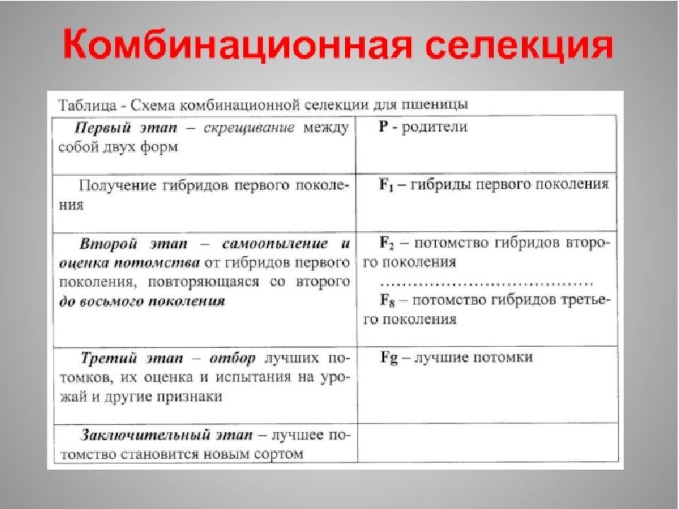 Методы селекции презентация 10 класс