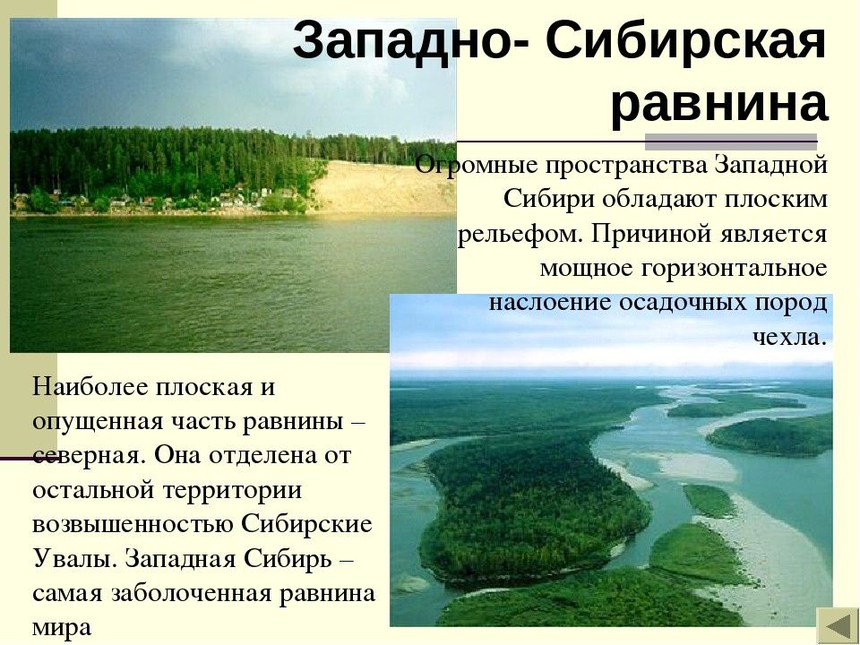 Какова причина плоского рельефа западно сибирской равнины. Западно Сибирская равнина. Западно Сибирская равн на. Информация о Западно сибирской равнине. Западно-Сибирская равнина презентация.