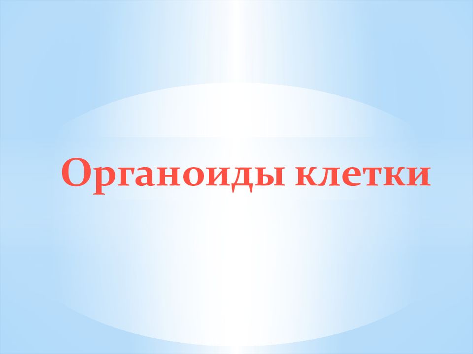 Органоиды клетки