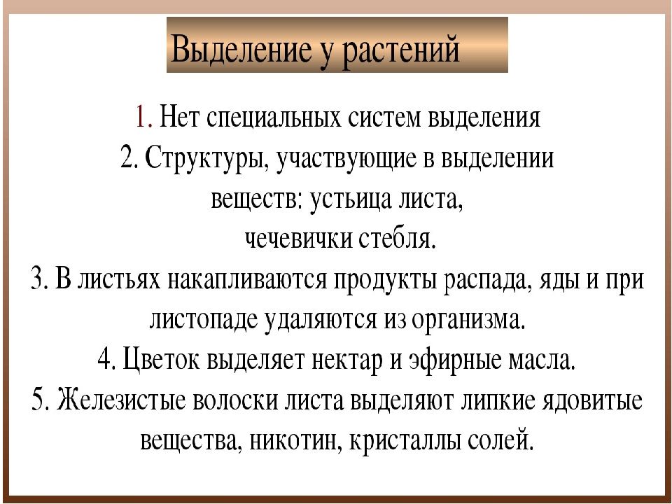 Четв. Выделение у растений.