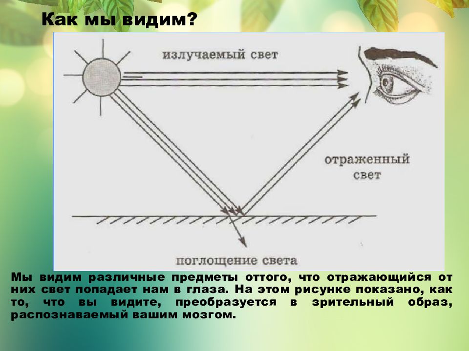 Почему мы видим по разному. Почему мы видим предметы. Почему мы видим объекты. Как мы видим предметы. Отражение световых лучей.