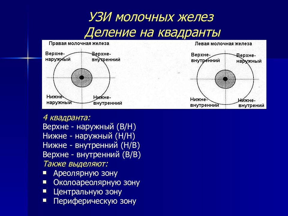 Квадранты молочной железы схема