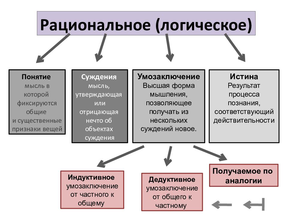 Знание и познание презентация