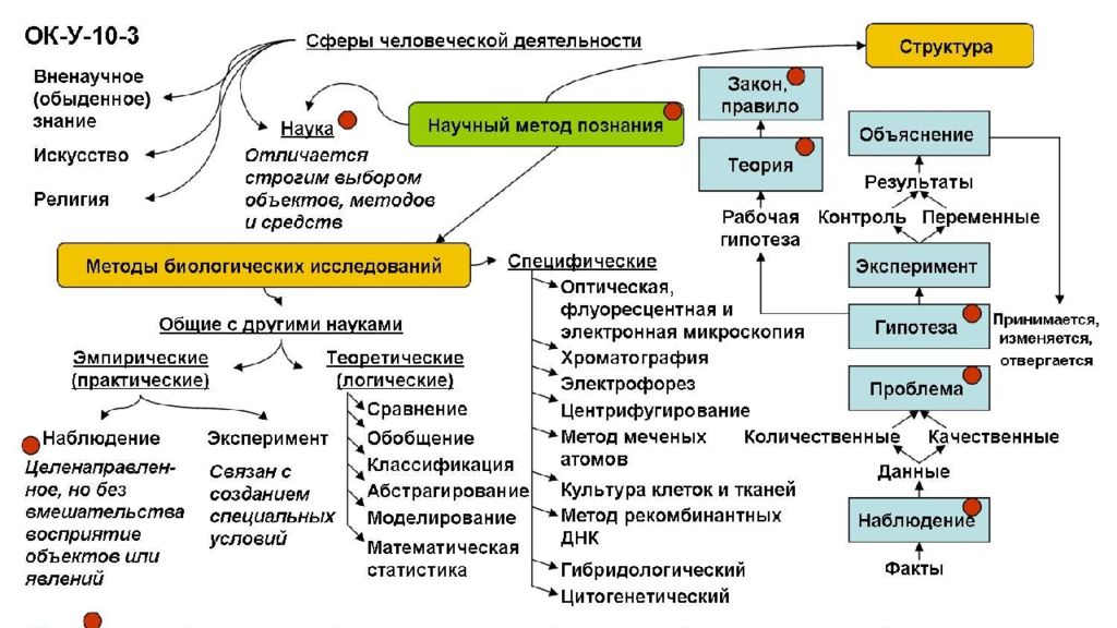 Методы исследования в творческом проекте