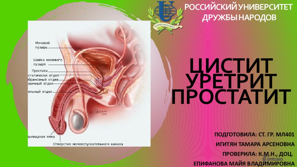 Цистит Уретрит Простатит