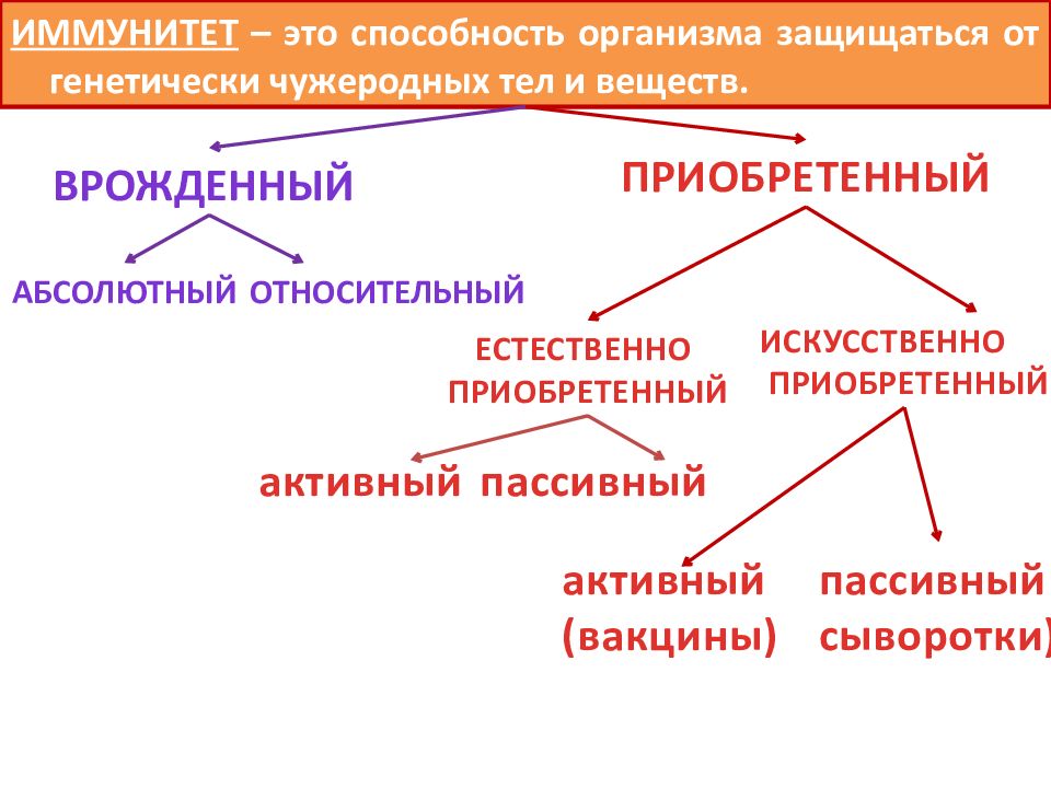 Приобретенный иммунитет примеры. Врожденный и приобретенный иммунитет. Патология иммунной системы. Активный и пассивный иммунитет. Иммунитет это способность организма.