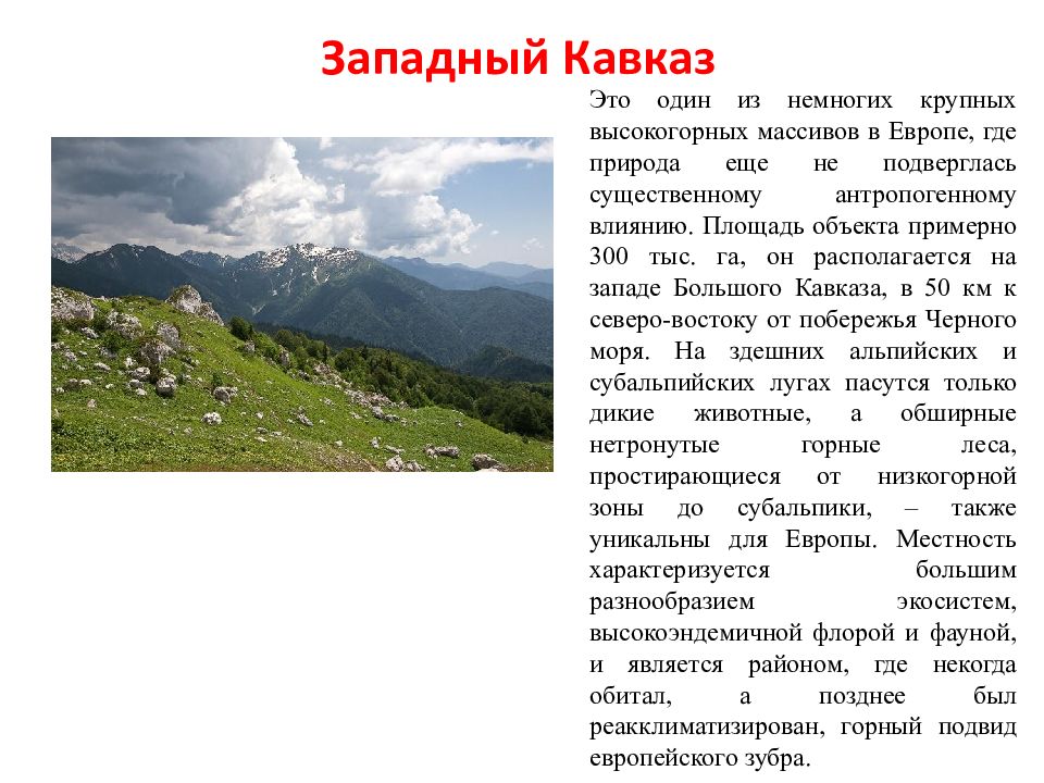 Презентация по географии 8 класс россия на карте мира