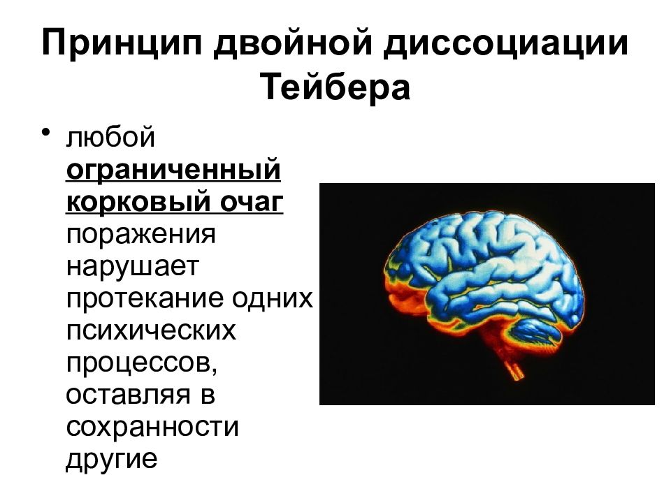 Нейрофизиология картинки для презентации