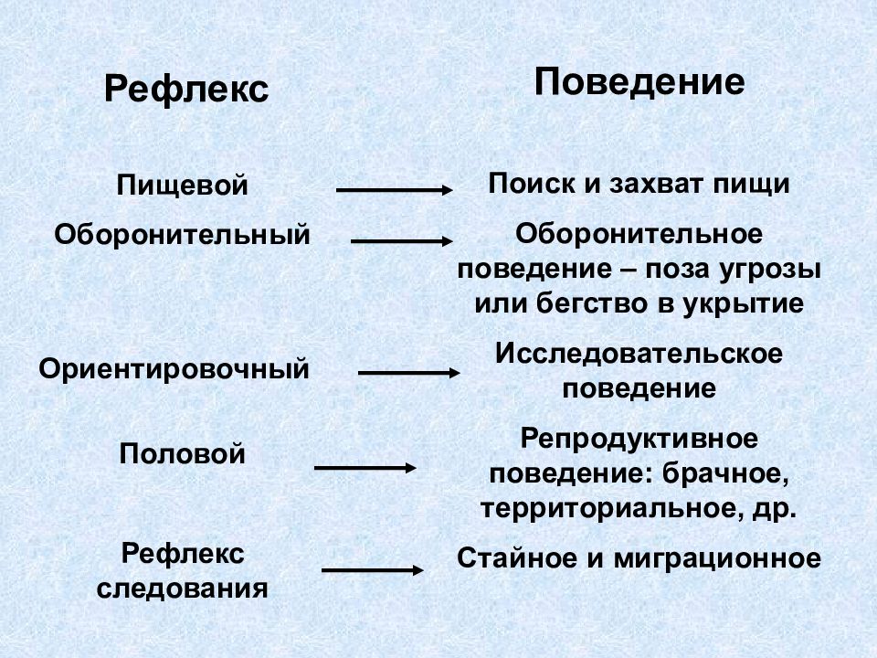 Поведение рефлекс. Пищевой рефлекс. Оборонительный рефлекс. Пищевой и оборонительный рефлекс. Оборонительное поведение физиология.