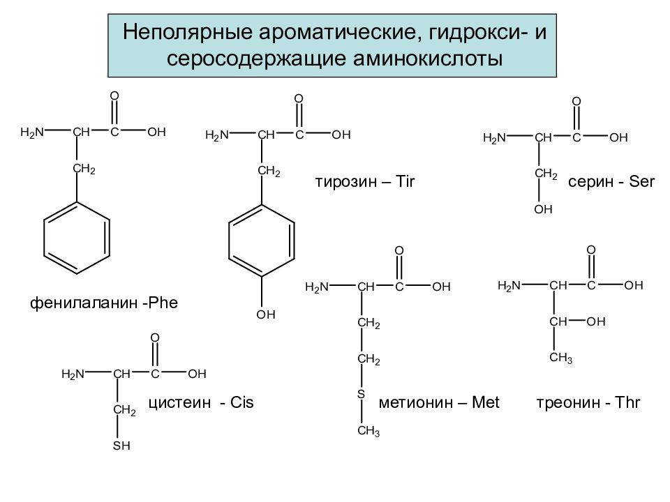 Незаряженные аминокислоты. Строение серосодержащих аминокислот. Метионин ароматическая аминокислота. Формулы серосодержащих аминокислот. Серосодержащие аминокислоты цистин.