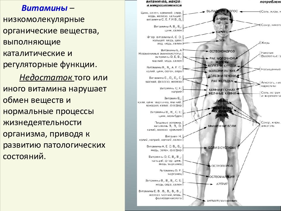 Только эти вещества выполняют функцию. Витамины выполняют ката-литические и регуляторные функции. Витамины выполняют каталитические и регуляторные функции. Витамин д реферат по анатомии. Роль элементов, выполняющих каталитические функции.