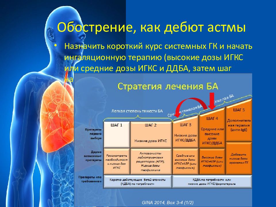 Обострение. Дебют астмы. Дебют бронхиальной астмы у взрослых. Обострение астмы симптомы. Обострение астмы симптомы у взрослых.