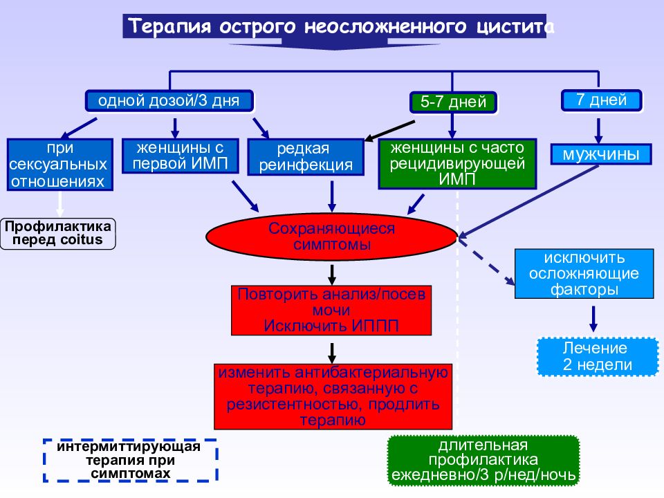 Клиническая картина инфекции мочевыводящих путей