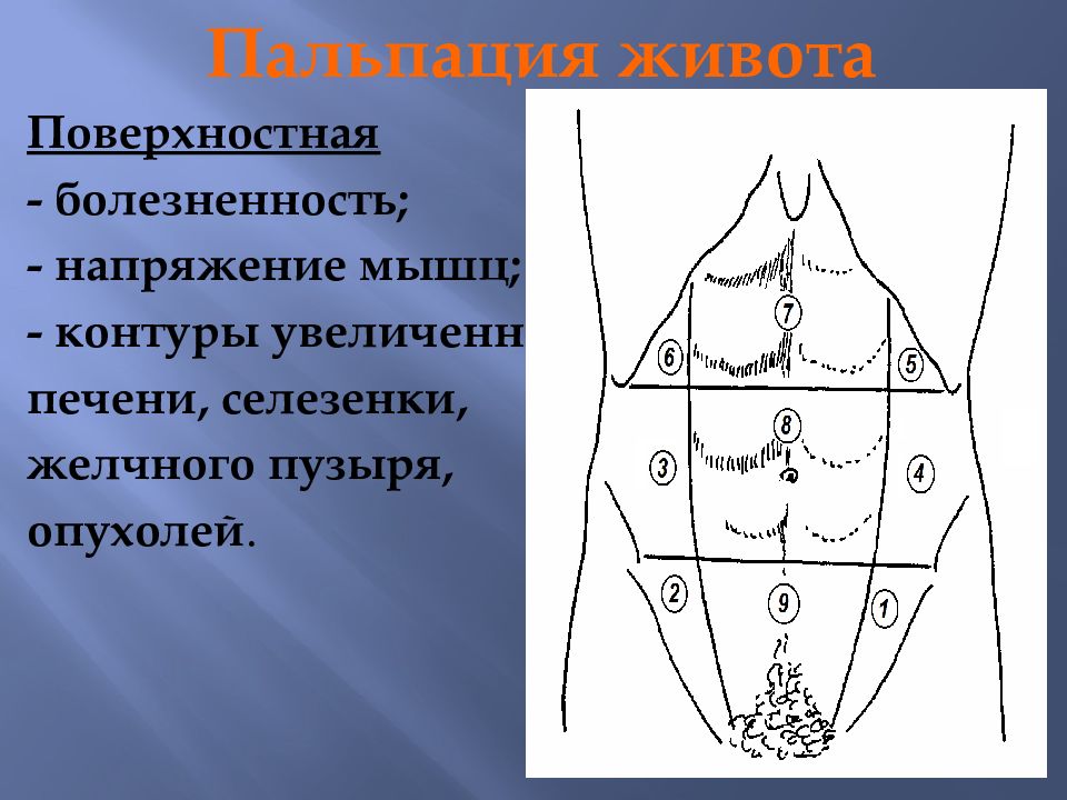 Глубокая пальпация. Поверхностная пальпация живота пропедевтика. Методика пальпации живота. Методика поверхностной пальпации живота. Поверхностная ориентировочная пальпация живота.