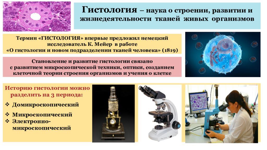 7 наука в развитии. Развитие гистологии. Формирование гистологии как науки. История развития гистологии. История развития гистологии как науки.