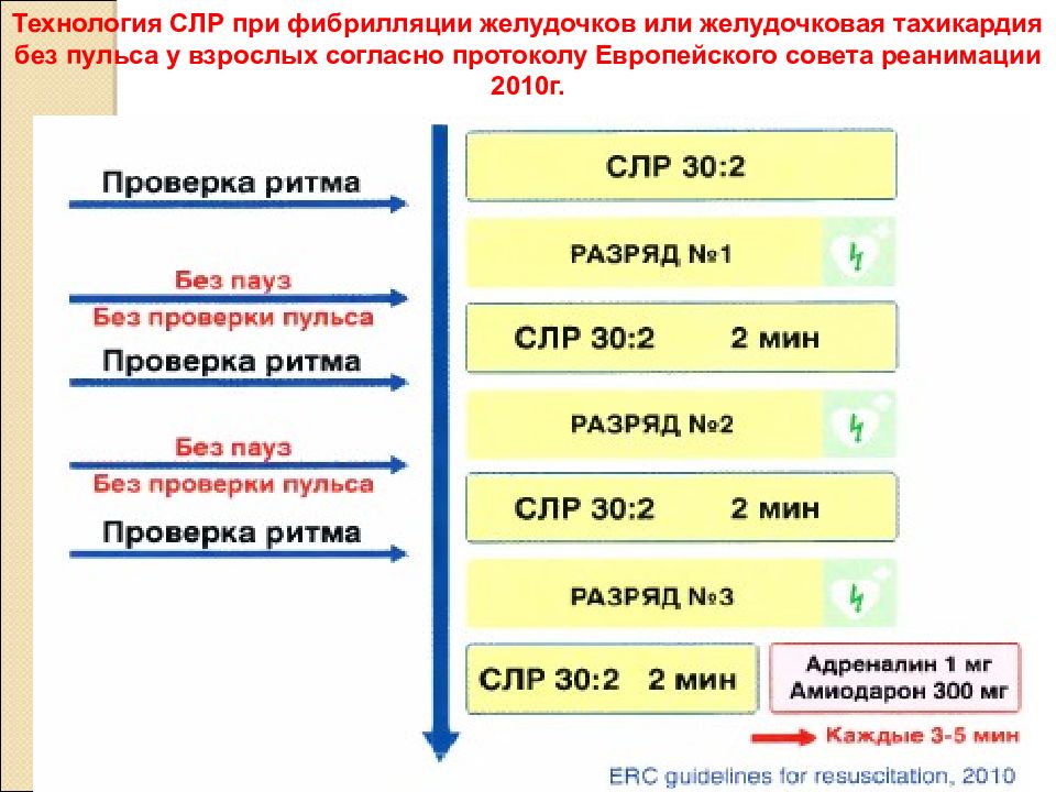 Протокол реанимационных мероприятий при клинической смерти на скорой помощи образец