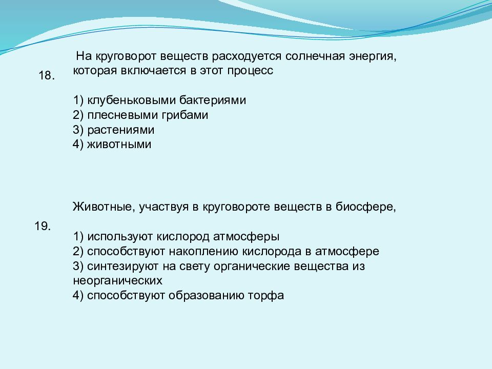 Биогеохимические процессы в биосфере презентация 11 класс