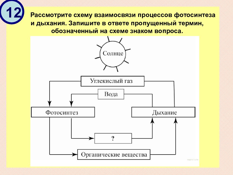 Взаимосвязанные процессы