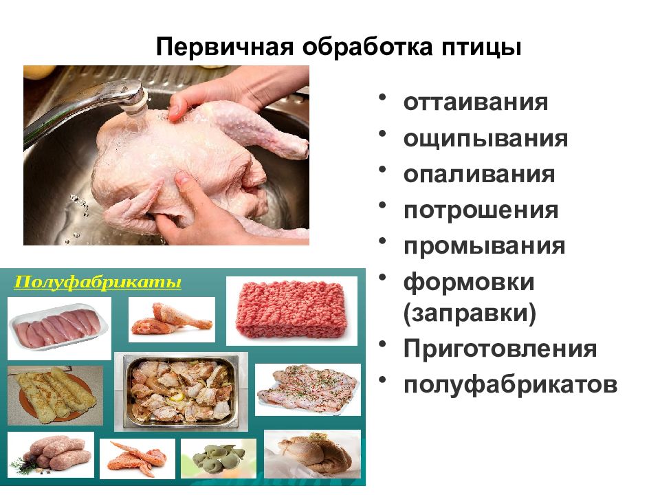 Технология обработка птиц. Первичная обработка птицы. Технология обработка птиц. Первичная обработка домашней птицы этапы. Механическая обработка птицы.